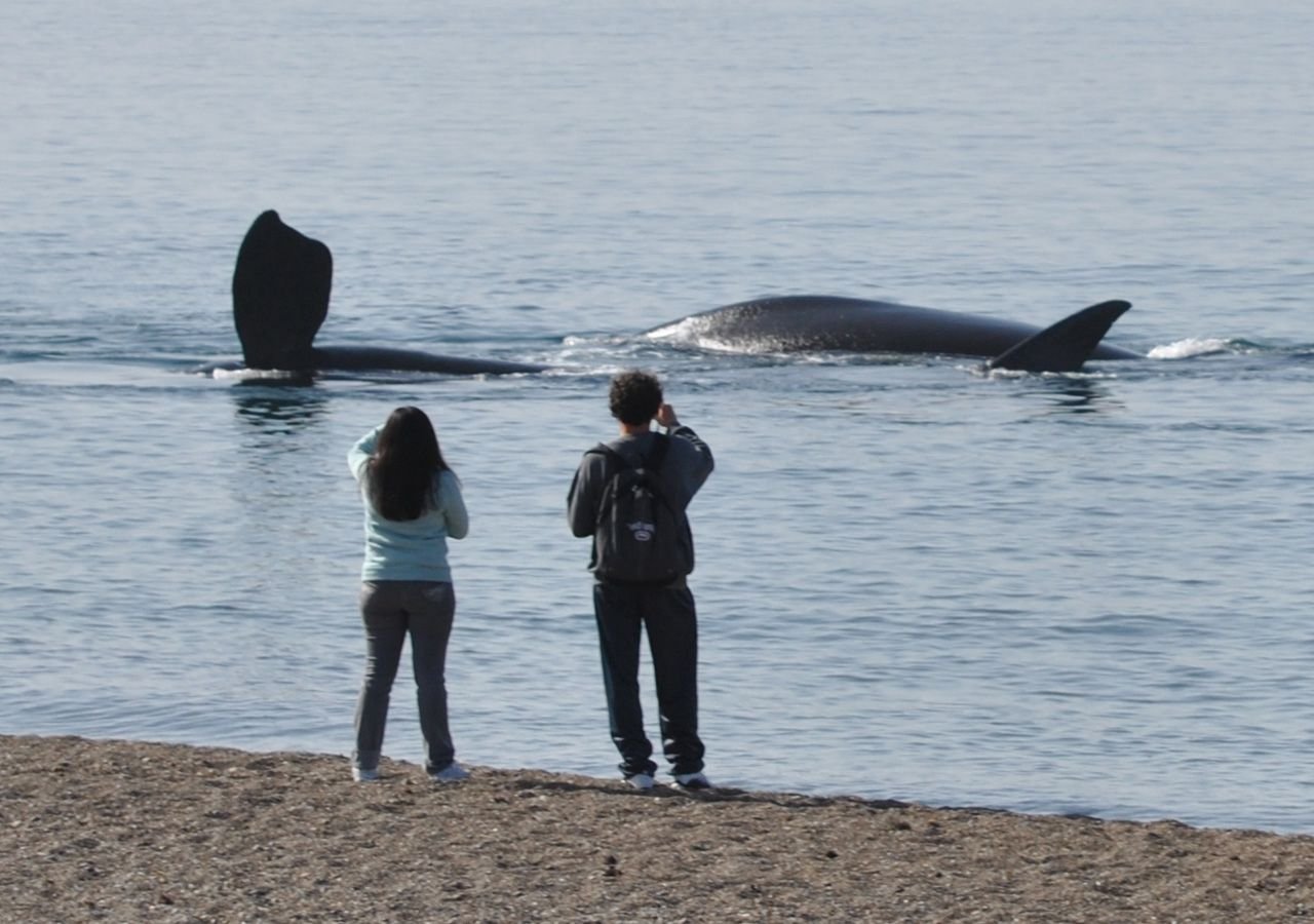 WhatsApp Image 2025-09-15 at 10.10.56