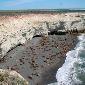 punta-loma